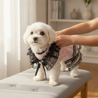 Pet Dog Cat Princess Dress Thin Lace Wedding Gown for Small Dogs