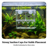 Buoyant Aquatic Breeding Box Suction Holder Mount Aquatic Breeder Box Fry Hatchery Double Placement for Aquarists