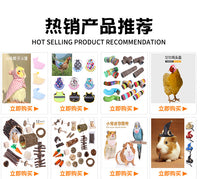 Hamster Mini Bathtub with Shower Head, Sand Bath Basin for Hamsters, Cute Bathtub