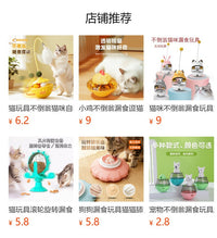 Plastic Pet Puzzle Feeder Toy for Cats and Dogs