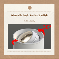 LED Ceiling Spotlight, Adjustable, Anti-Glare, Modern Accent