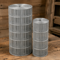 Galvanized Wire Net Fence, 10cm Mesh, 1m Length, Wire Mesh, Animal Enclosure, Garden, For Home Vegetable Garden