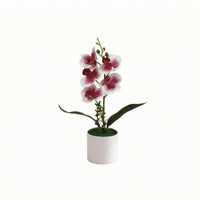 Phalaenopsis Flower Arrangement Real Touch Artificial Flower 33 Cm Tall