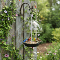 Hanging Bird Feeder Weather-Resistant Clear Bird Feeder Detachable Parts Outdoor Decor for Garden, Patio