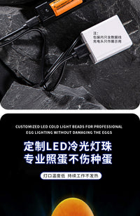 鸟用照蛋神器养殖鹦鹉手电筒鹦鹉芦丁鸡照蛋灯孵化专用LED冷光
