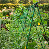 Garden Trellis for Climbing Plants and Vegetables Green Garden Netting with 27 Strand Mesh, Plant Support, Indoor Plant Trellis Pack