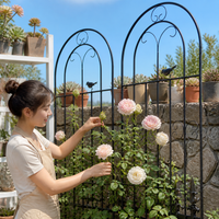 Garden Trellis, For Roses, Training, For Climbing Roses, Iron Fence, 50cm x 120cm, Metal Trellis