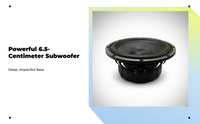 Deep bass subwoofer for car/home