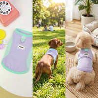 Summer Dog Clothes Cooling Dog Vest, Breathable Polyester Pet Summer Wear with D-loop, Pull-Over Casual Style for Small Dogs and Puppy Clothes