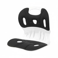 Lumbar Support Seat Pad, Ergonomic Posture Chair, Students, Office
