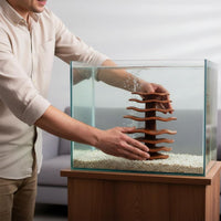 Aquarium Crustacean Cave Freshwater and Saltwater Safe Suction Cup Fish Ledge