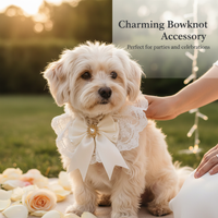 Vintage Lace Bow Pet Bib Collar for Cats and Small Dogs, Princess Wedding Decoration