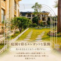 Garden Arch, Rose Arch, Flower Arch, Iron-made, Dark Green, Rust-resistant, Garden, Entrance, Gate, For Climbing Plants
