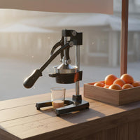 Easy to Clean Lever Action Juice Juicer Rustproof Commercial Grade Fruit Juicer for Bar