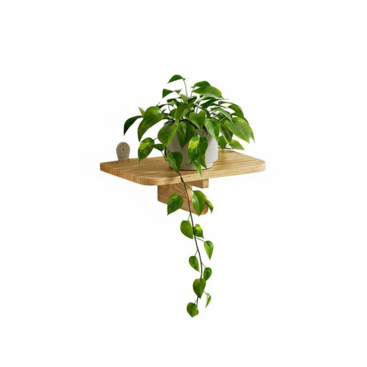 Single-Tier mount board Nordic aesthetic Verticalmounted VerticalstorageSaving for Living Room