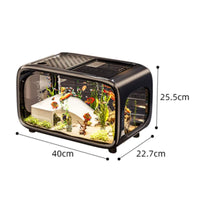 Natural Aquatic Landscape Aquarium Complete Design Small Aquarium Kit Air Pump