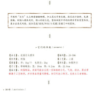 花园别墅庭院幼儿园草坪阳台装饰户外仿石头树脂摆件造景园艺杂货