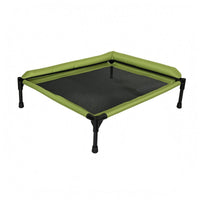 Elevated Pet Bed off the Floor Raised Edge Pet Bed Low-Height
