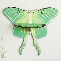 New Green Wooden Small Butterfly Hollow Crystal Storage Shelf