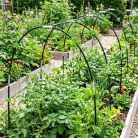 Greenhouse Frame Set, Fiberglass Garden Hoops Kit for Grow Tunnel, 55cm Plant Support for Raised Beds, Weather Resistant Polytunnel Kit
