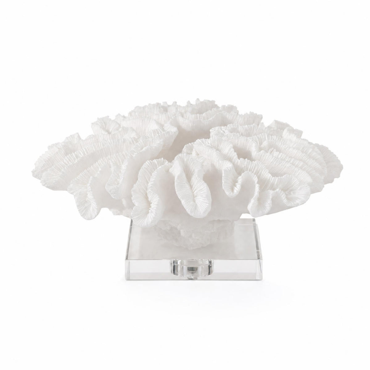 Coral Sculpture with Acrylic Base Textured Coral Ornament Modern for Office