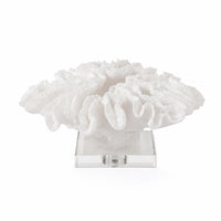 Coral Sculpture with Acrylic Base Textured Coral Ornament Modern for Office