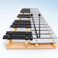 Xylophone with Mallet 25-Note Xylophones with Bag Aluminum Glockenspiel for Beginners, Students, Classroom, Home