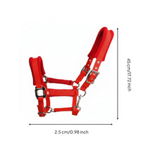 Padded Horse Halter Buckle-and-Loop Fastening Strapping Horse Halter