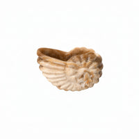 Stone Conch Ornament Nautical Conch Shell Ornament Shelf Decor for Sample Room