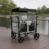 Push Wagon Push Wagon Padded Seats Child Weather Hood Infant Gear