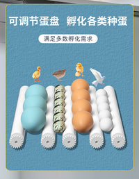 孵化器小型家用型孵蛋器智能全自动孵化机鸡鸭鹅鸽子芦丁鸡孵化箱 美规