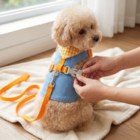 Small Dog Harness and Leash Set for Bichon Poodle Pomeranian, Adjustable Pet Vest Harness with Leash