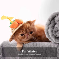 Soft Fleece Dog Blanket Thickened Pineapple Fleece Cat Mat Machine Washable Warm Puppy Quilt for Dogs, Cats, Couch, Crate, Floor