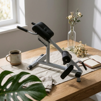 Roman Chair Roller Pads Hyperextension Bench Steel Frame Fitness Equipment for Home Gym