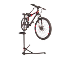Bicycle Display Stand and Repair Workbench for Shop Use
