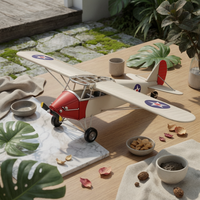 Propeller Airplane Model Collectible Metal Airplane Model Rustic Plane Ornament for Office