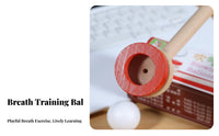 Sensory Play Hover Ing Ball Pipe Toy Burr Ball Blow Pipe Parent-Child Bonding for Children 3-7 Years, Boys, Preschool, Indoor, Home