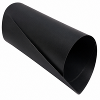 HDPE Geomembrane for Water Bodies, Ponds, Anti-filtration Film