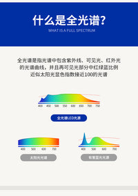 QINGYAO清瑶 美式乡村吸顶灯奶油中古风卧室灯儿童房新中式南瓜灯 【全光谱护眼】B款 白+咖色 52CM 三色