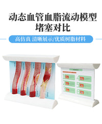 仿真动态血管模型血脂浓稠度流动堵塞对比斑块血栓病理加大教具