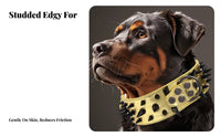 Studded Dog Heavy Duty Large Breed Dog Rustproof Hardware Pet Supplies for Hunters, Daily Wear, Outdoor Walks, Training