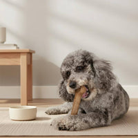 Tough Sturdy Canine & Gnaw Long-Lasting Dog Gnaw Bone Reusable for Aggressive Chewers, Dogs, Young Dogs