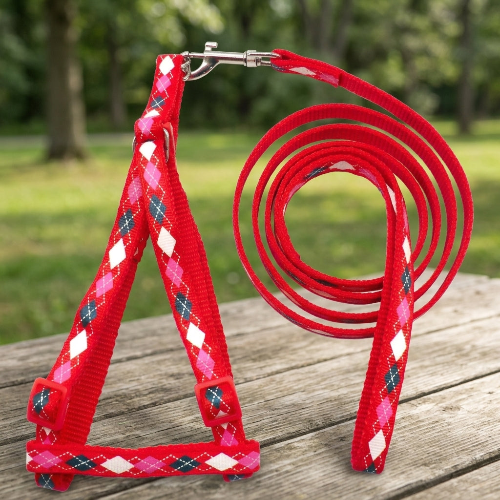 Dog Harness and Dog Leash Set, Adjustable Strap Design for Small Dog Puppy, Outdoor Walking Cat Harness and Puppy Harness in Mixed Colors