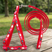 Dog Harness and Dog Leash Set, Adjustable Strap Design for Small Dog Puppy, Outdoor Walking Cat Harness and Puppy Harness in Mixed Colors