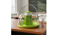 Silkworm Breeding Box Transparent Breeding Box Ventilated for Classroom