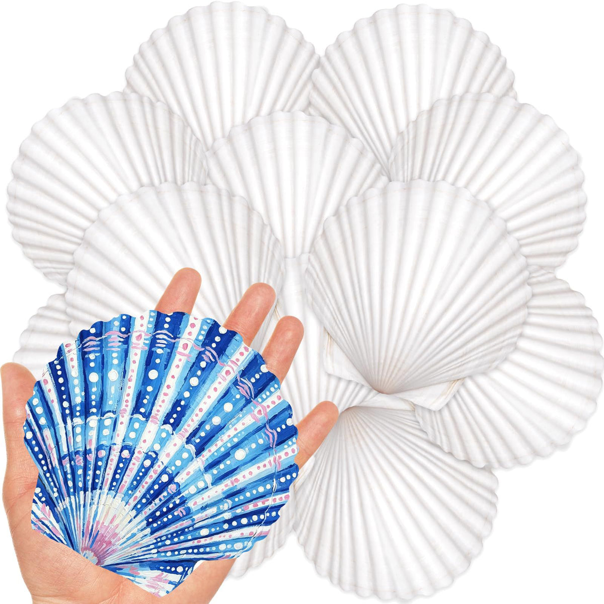 20 Large Scallop Shells for Crafts