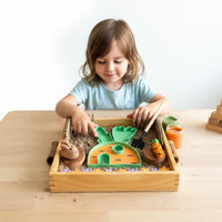Carrot House Sand Toy Set Carrot Farm Modeling Clay Kit Biodegradable Material 3D Printed Play Shape Set for Kids, Preschool
