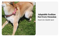Bow Tie Dog Engravable Dog with Bow Tie Material for Dogs, Young Dogs, Daily Wear, Outdoor Walks, Photo Shoots