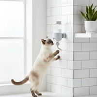 Raised Pet Water Bottle Easy to Clean Elevated Pet Waterer Dog Water Bottle for Young Dogs, Kittens