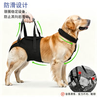 Pet Rear Leg Support Aid for Elderly Paralyzed Dogs